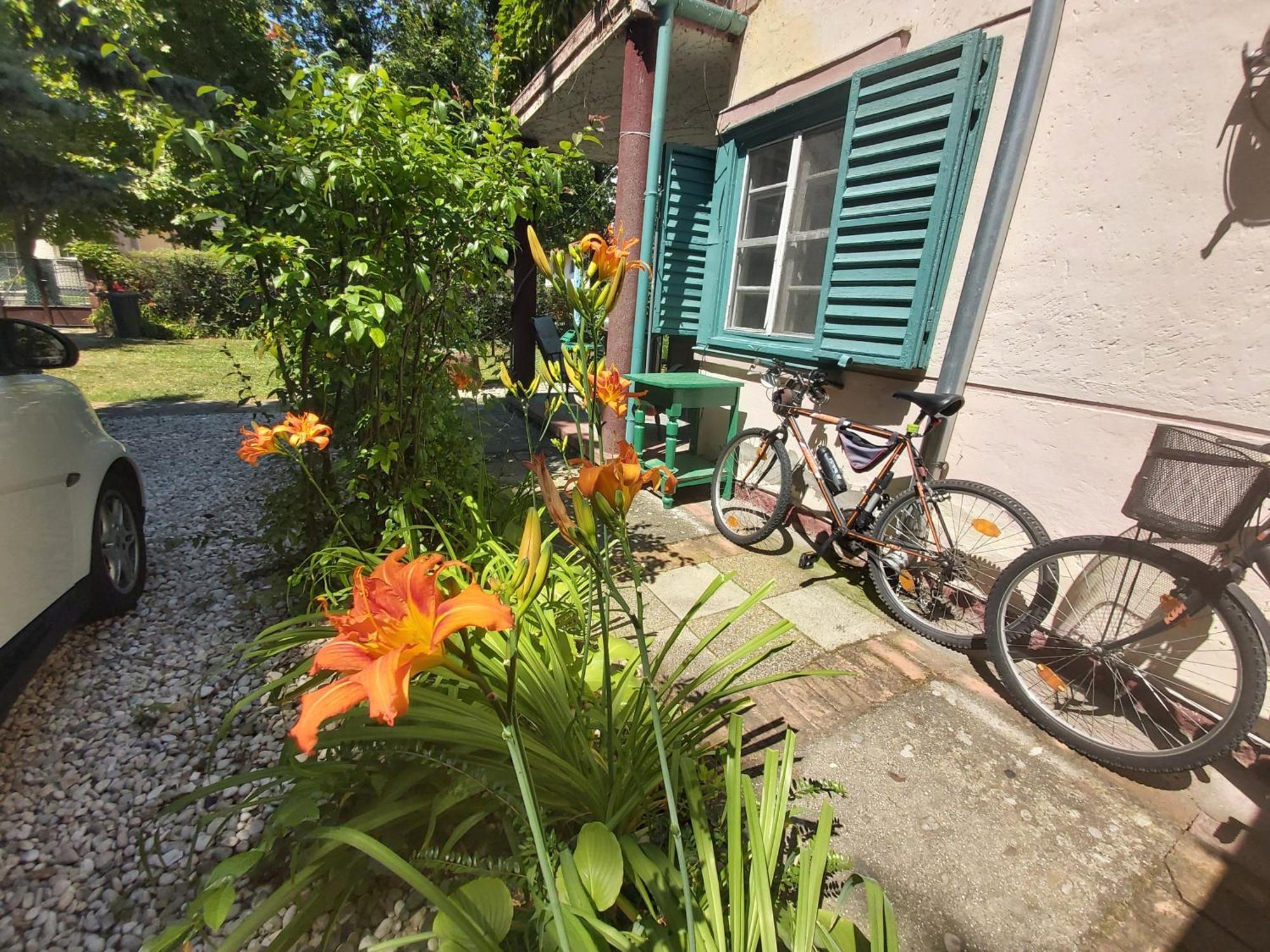Zen Garden Budha Relax Apartman, parking, BBQ, terrace Siófok Buitenkant foto