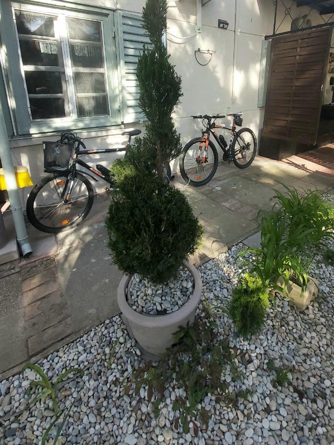 Zen Garden Budha Relax Apartman, parking, BBQ, terrace Siófok Buitenkant foto