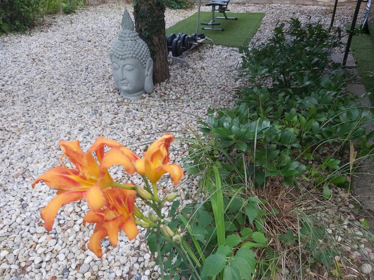 Zen Garden Budha Relax Apartman, parking, BBQ, terrace Siófok Buitenkant foto