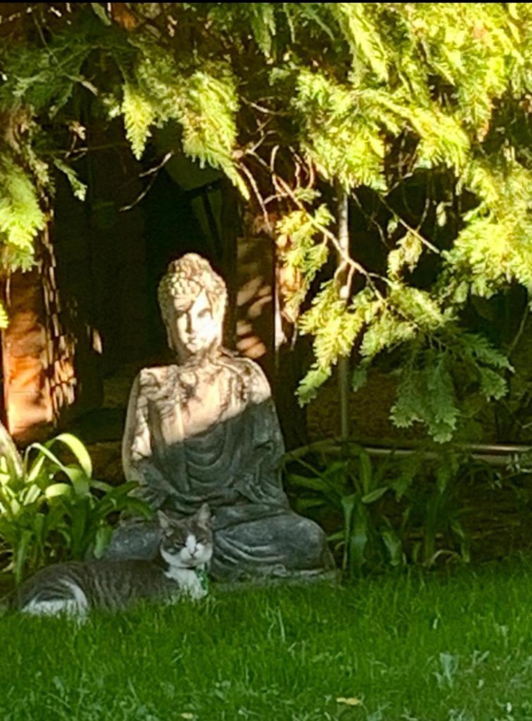 Zen Garden Budha Relax Apartman, parking, BBQ, terrace Siófok Buitenkant foto